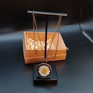 New Rustic Look Real Daisy Encased, 18" Necklace New‎ In Box